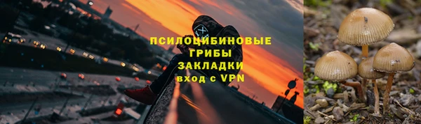 гашик Гусиноозёрск