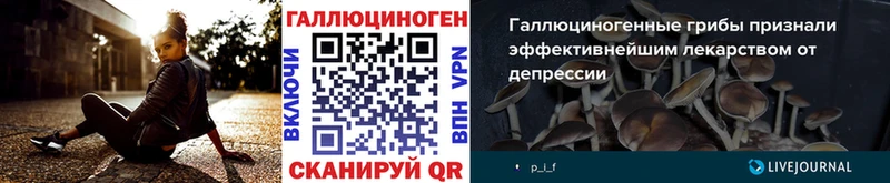 Галлюциногенные грибы прущие грибы  Купить где  Щёкино 